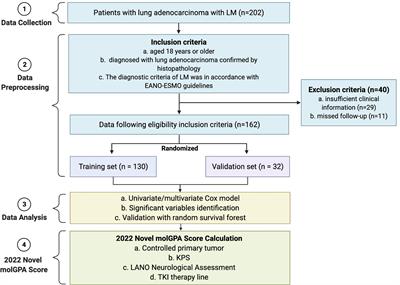 Predictors of Lung Adenocarcinoma With Leptomeningeal Metastases: A 2022 Targeted-Therapy-Assisted molGPA Model